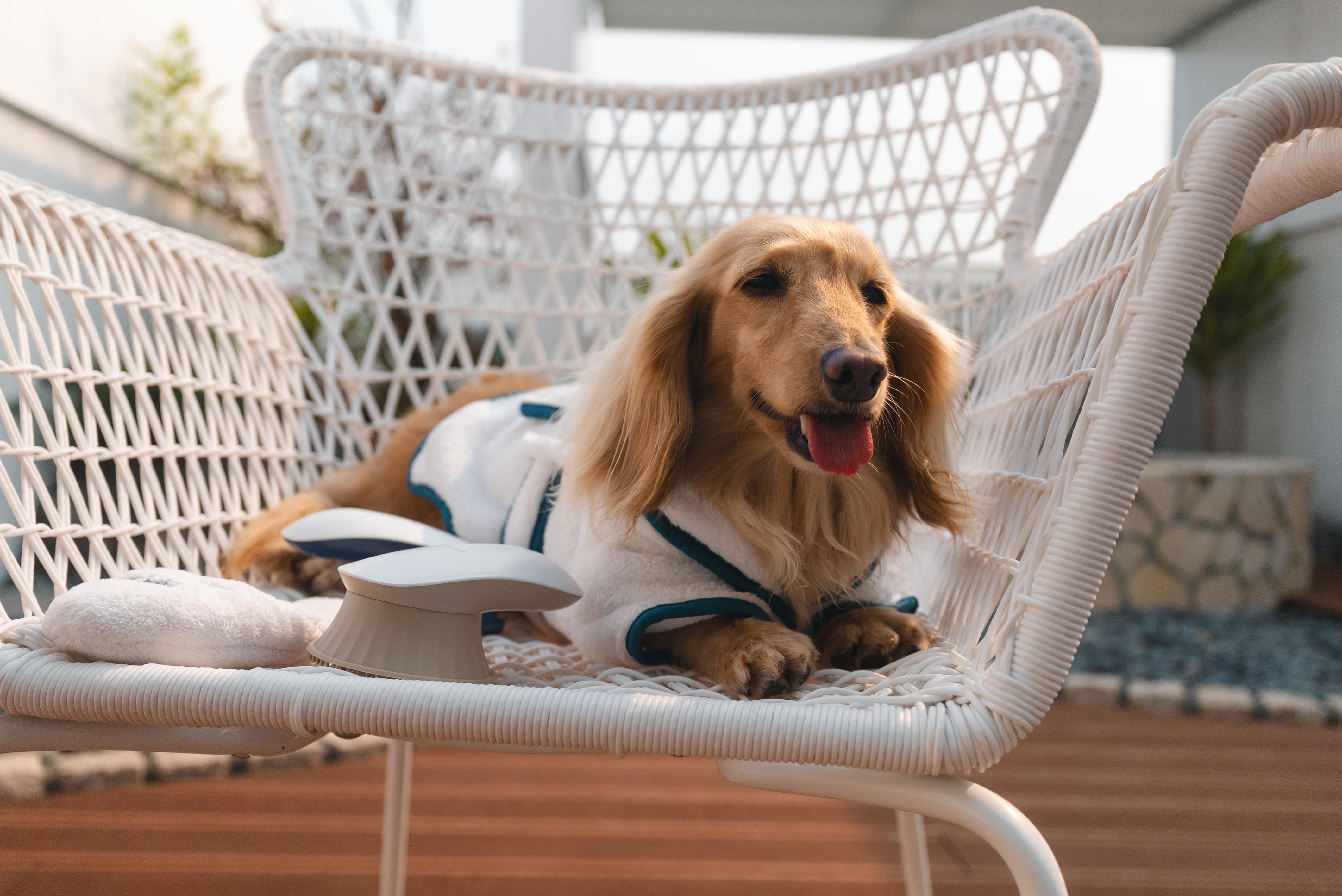 4ca4a3fb99154e9c51e5b350a935c1f1 4ca4a3fb99154e9c51e5b350a935c1f1