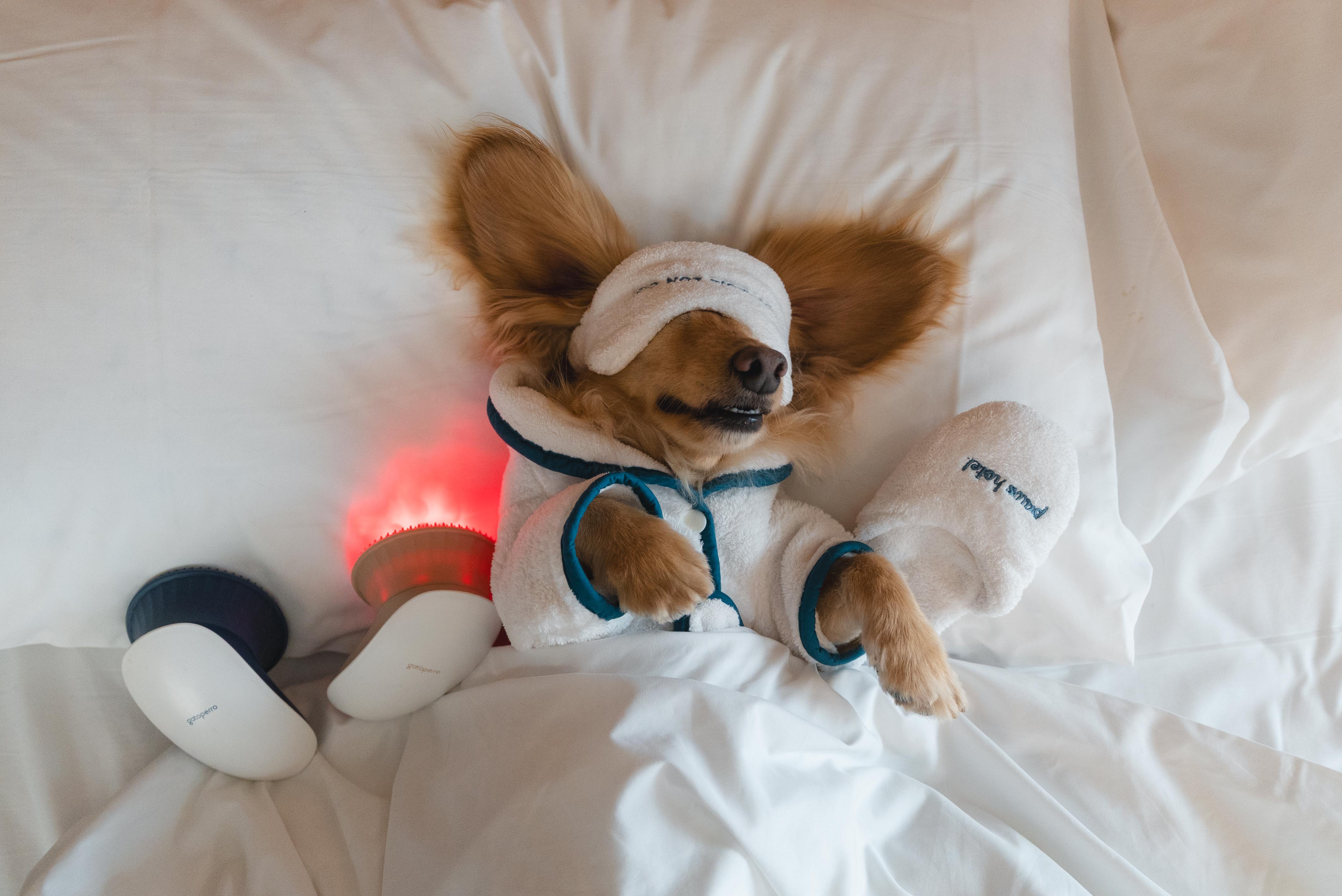 589a15b69e13bea18aeec0e8cc6427bb 589a15b69e13bea18aeec0e8cc6427bb