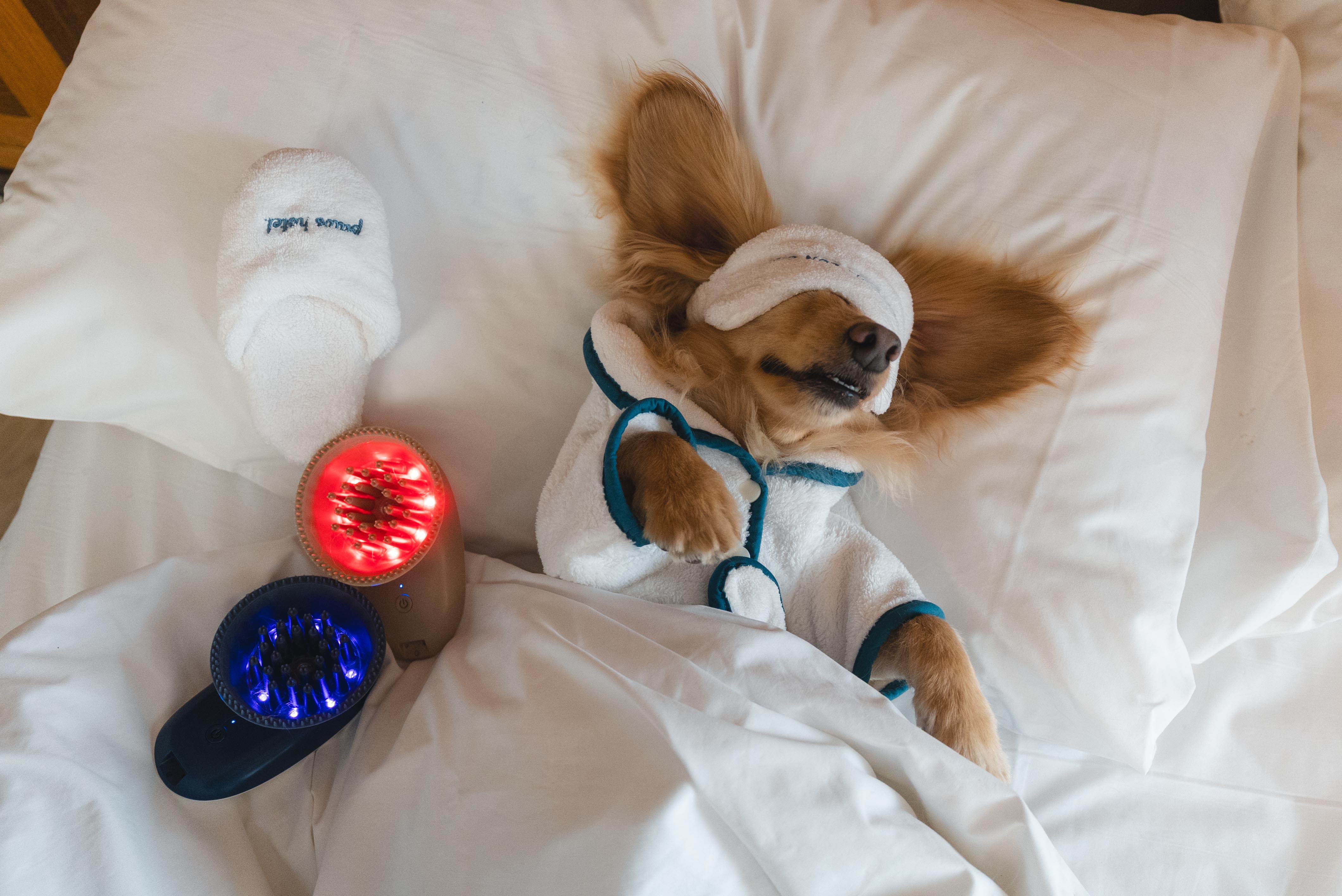 77a10ab9e6c30c08de4a09e0bead9793 77a10ab9e6c30c08de4a09e0bead9793