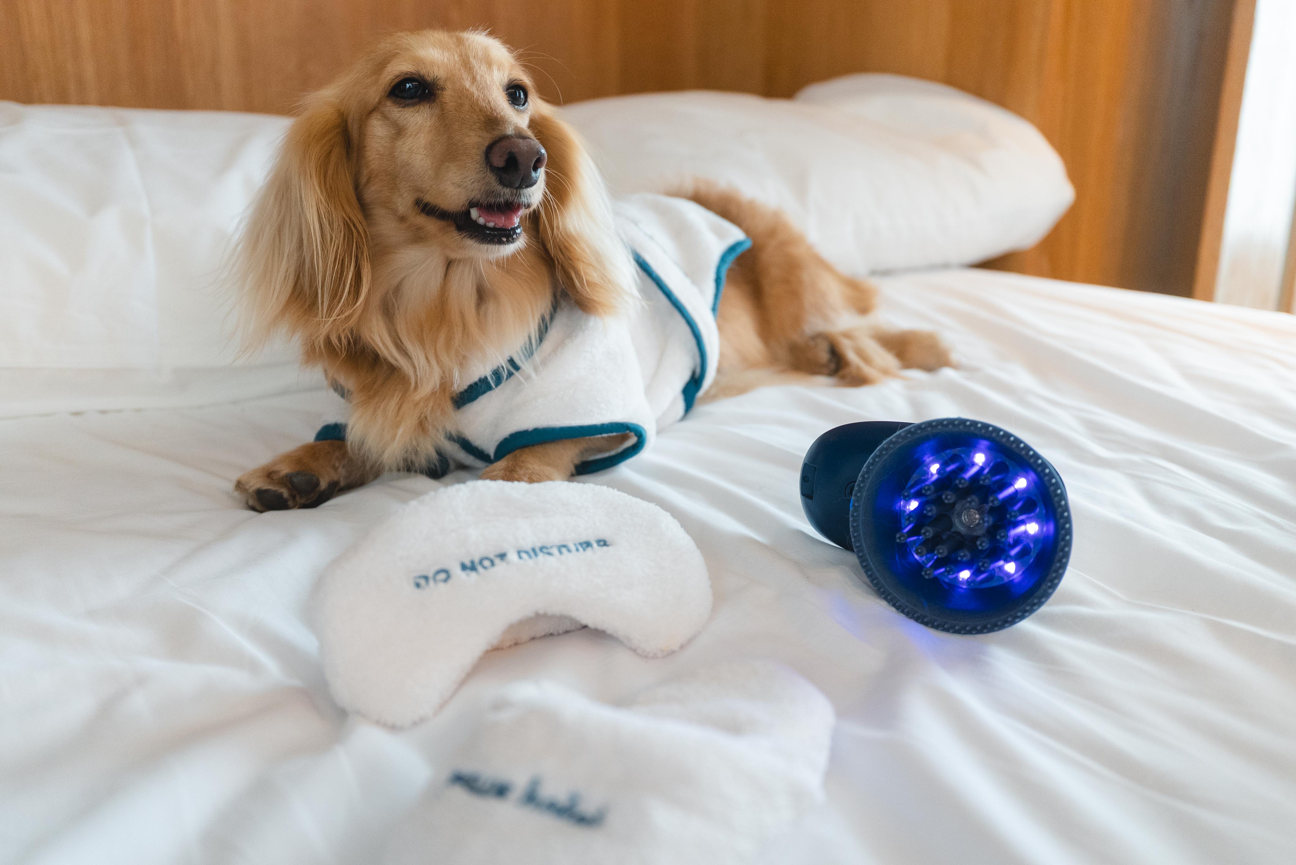 92295bfbd3bee235ad59eabd98446b45 92295bfbd3bee235ad59eabd98446b45