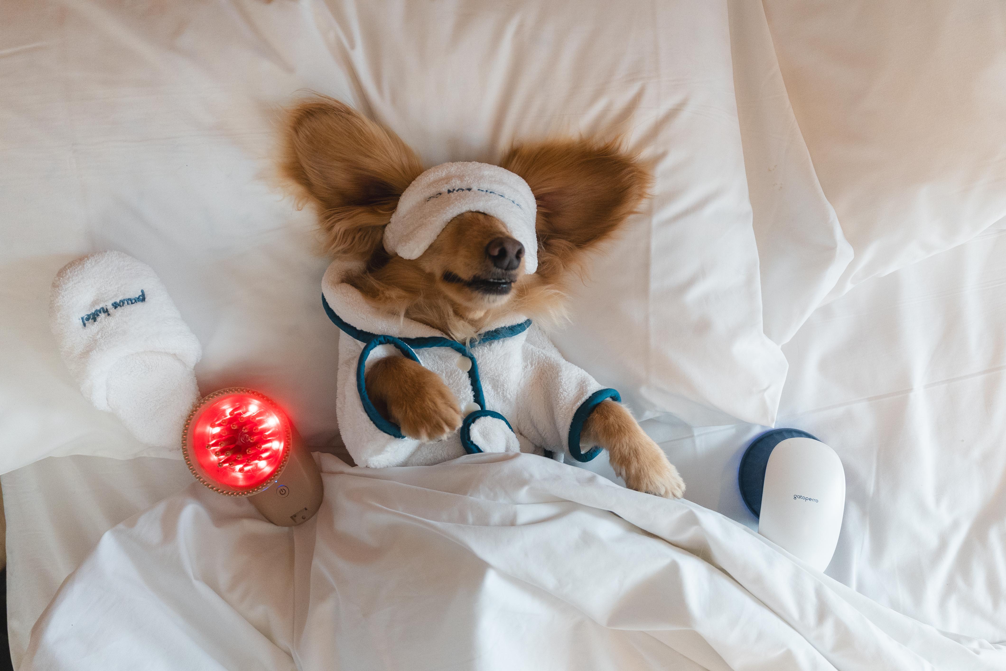 ba4041e95a3870174d601f3af35fc780 ba4041e95a3870174d601f3af35fc780