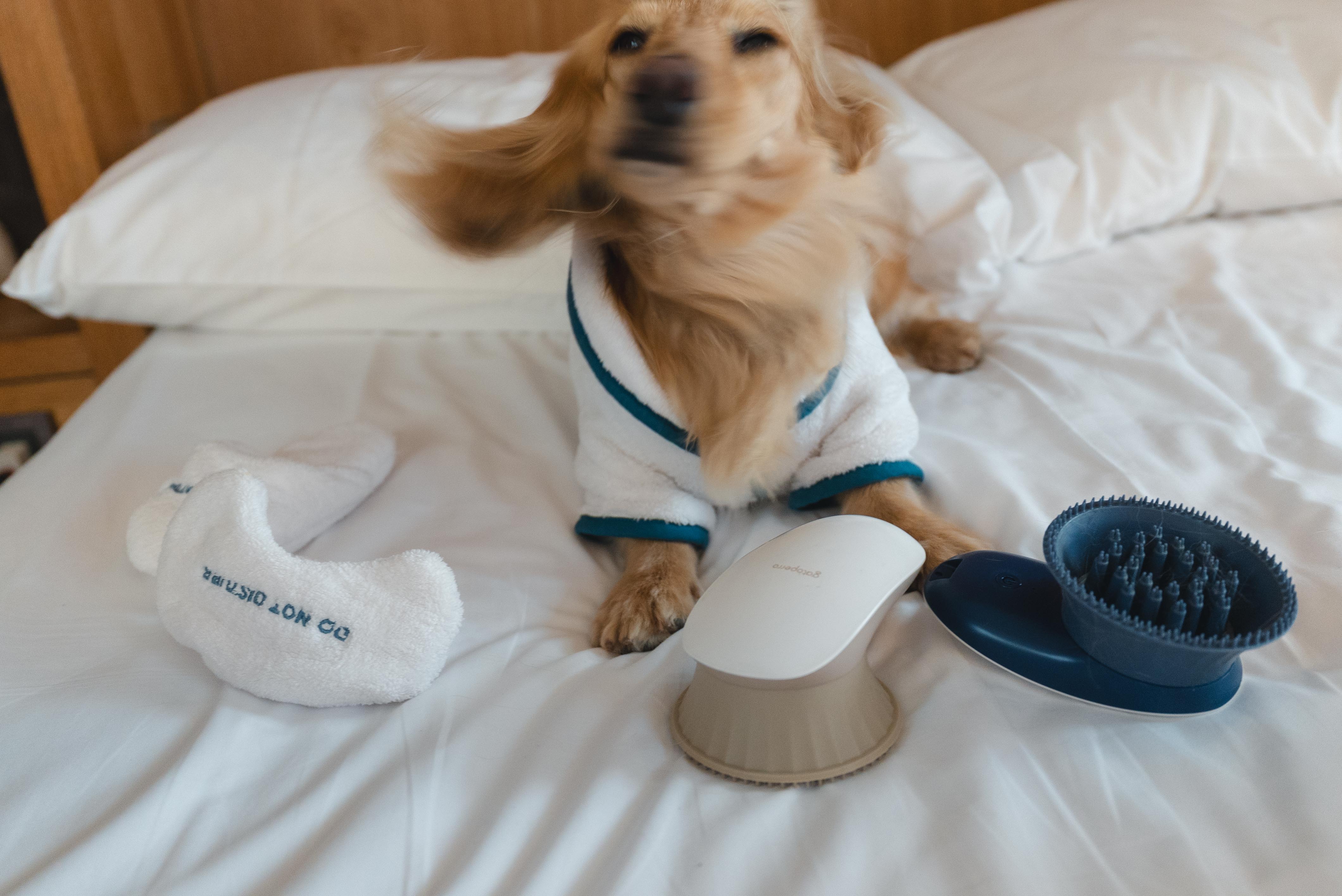 eb7d484cf53d6133c10d097cbd94697e eb7d484cf53d6133c10d097cbd94697e