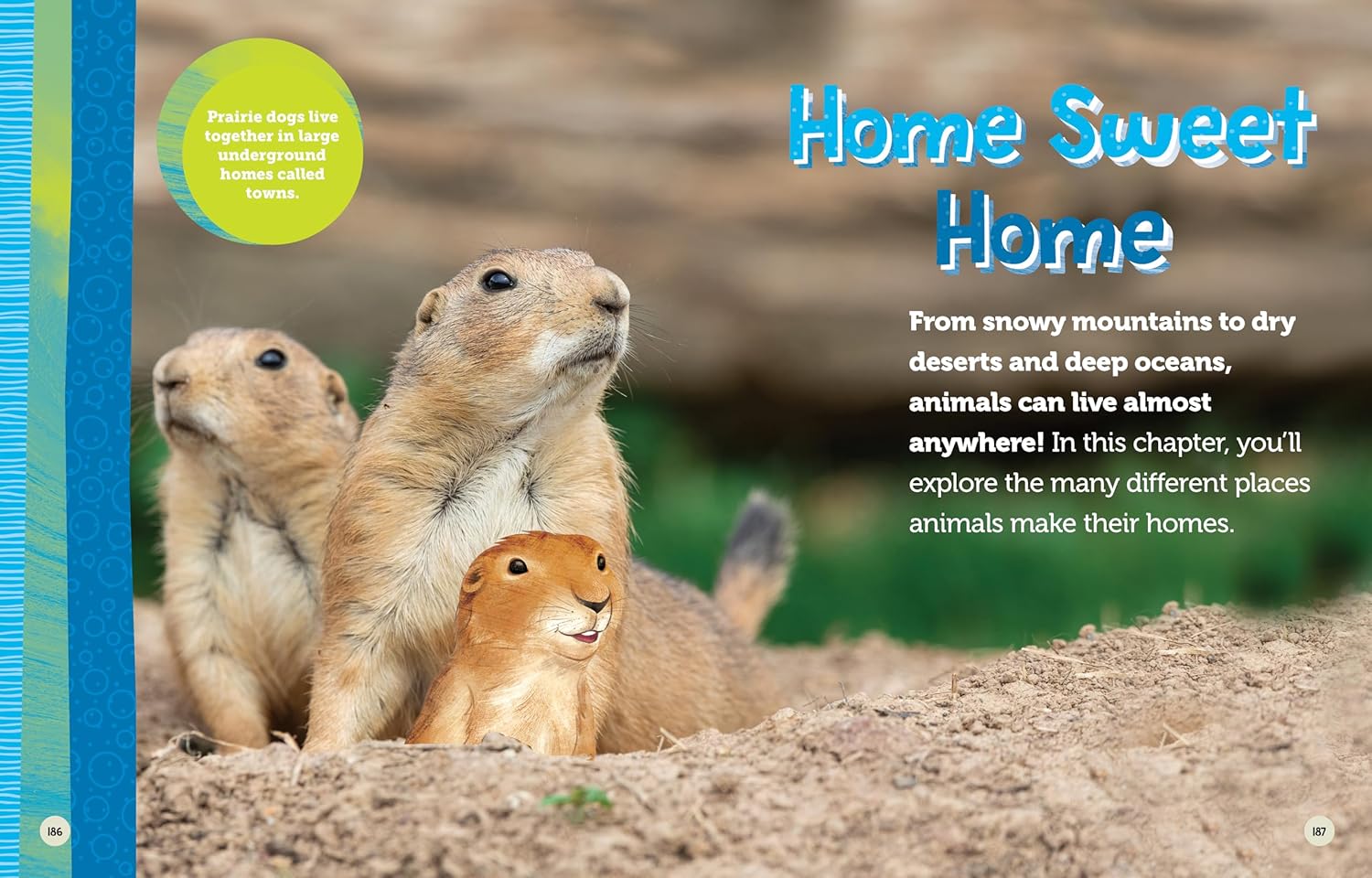 5f30cc302907edc446b0b4a016746e58 5f30cc302907edc446b0b4a016746e58.jpg