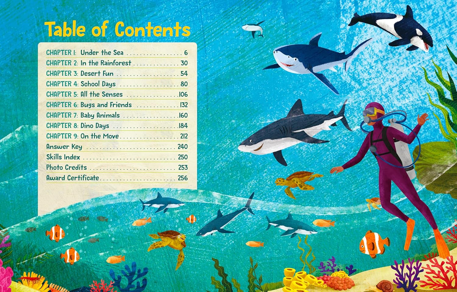 a90f172f3db011299e3611cce191a56d 2.jpg