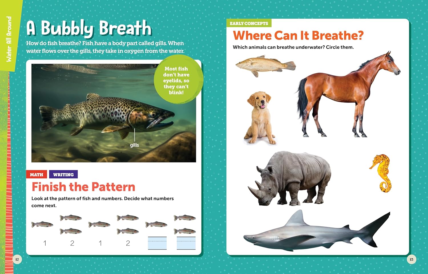 f5c789d9bb206d8a59e1c59ea628d715 f5c789d9bb206d8a59e1c59ea628d715.jpg