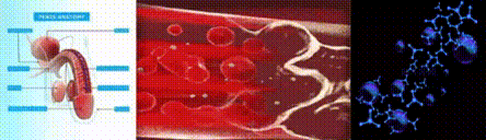 5a63f7369b4747aaaa6c1c7e47953eed.gif