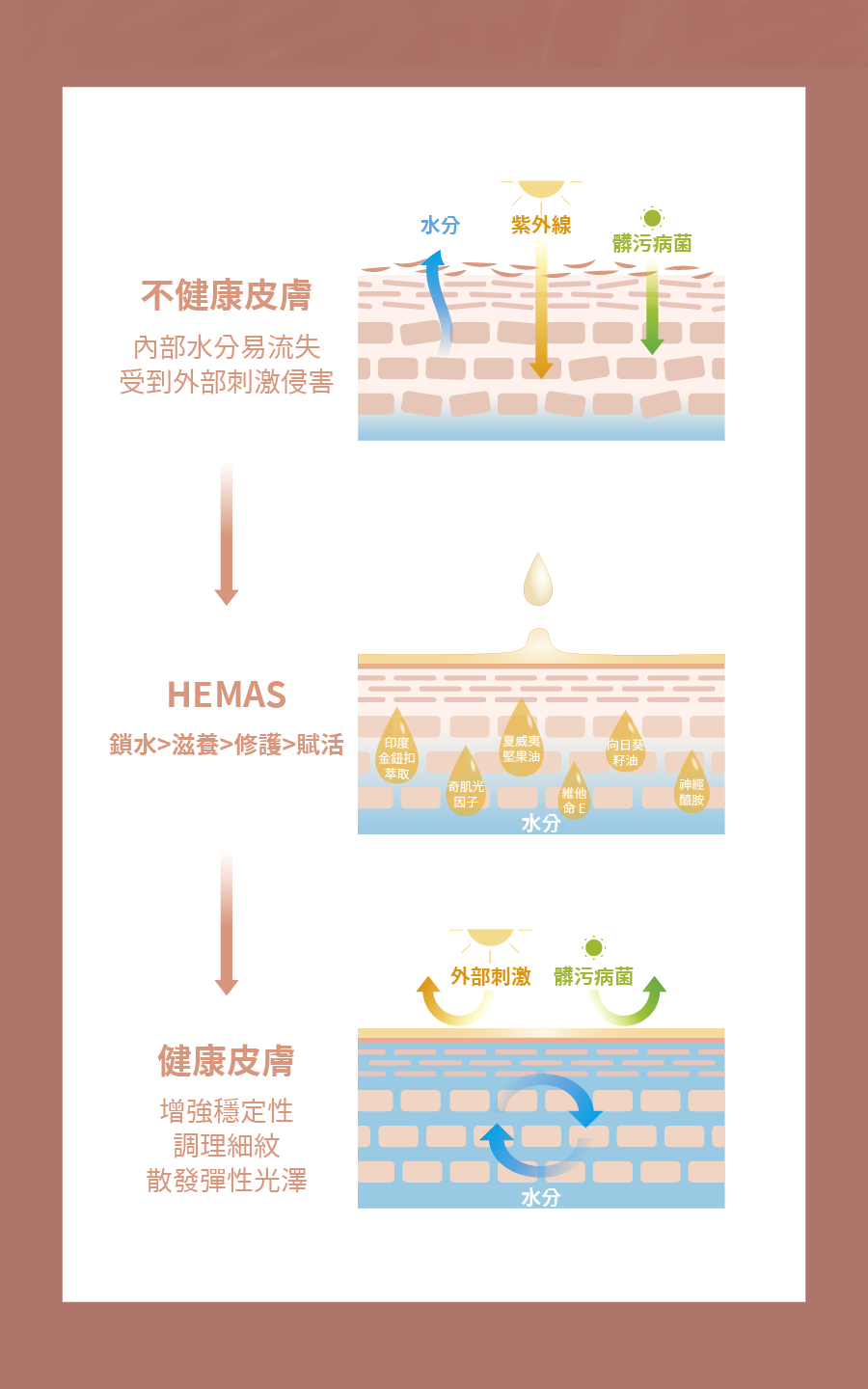 HEMAS賦活修護精華油-商品頁_03.png